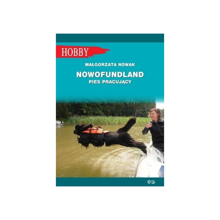 Nowofundlad - pies pracujący