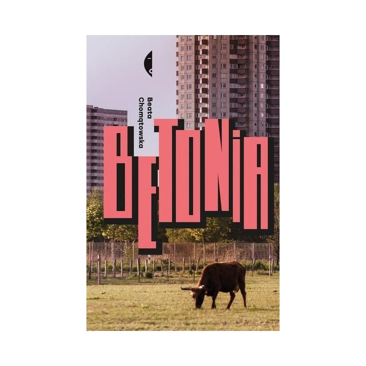 Betonia. Dom dla każdego wyd.2