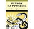 Python na poważnie. Czarny pas w programowaniu...