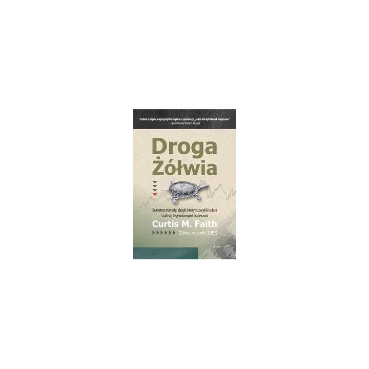 Droga Żółwia