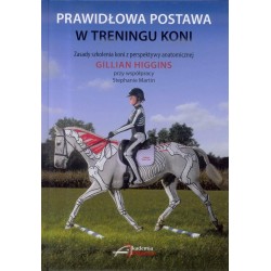 Prawidłowa postawa w treningu koni