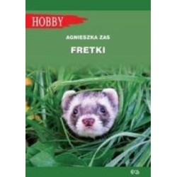 Fretki w.2018