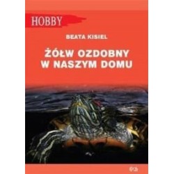 Żółw ozdobny w naszym domu pielęgnowanie