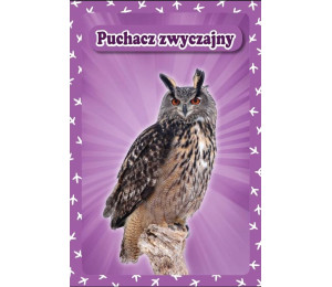 Karty Popup 3D - Ptaki