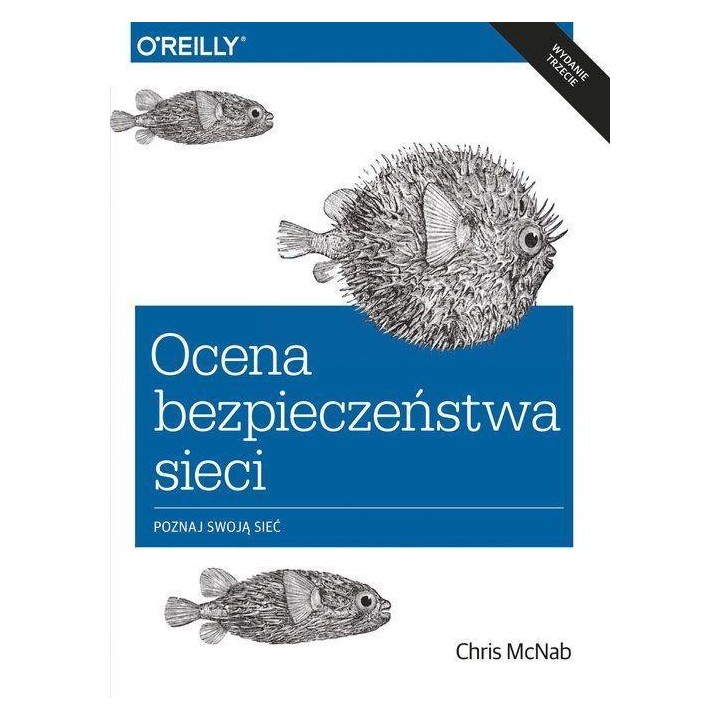 Ocena bezpieczeństwa w sieci w. III