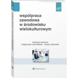 Współpraca zawodowa w środowisku wielokulturowym