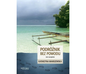 Podróżnik bez powodu. Łut szczęścia BR