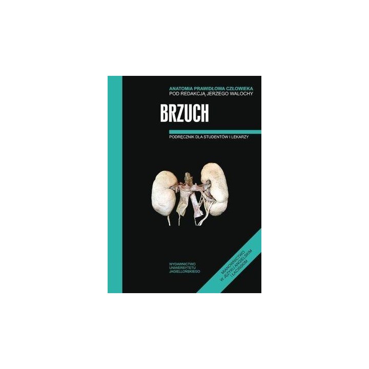 Anatomia prawidłowa człowieka. Brzuch