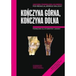 Anatomia prawidłowa człowieka. Koń.górna,koń. dol.