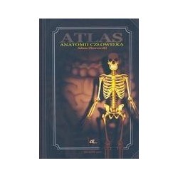 Atlas anatomii człowieka