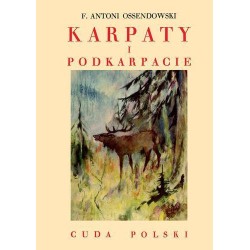 Karpaty i Podkarpacie BR LTW