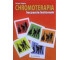 Chromoterapia
