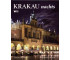 Kraków nocą wer. niem (Krakau nachts) Biały Kruk